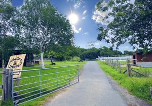 Photo 20- click for photo gallery